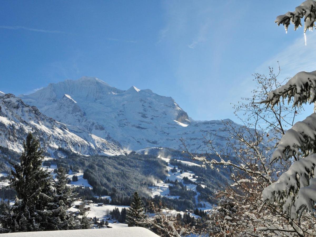 Apartment Bergfrieden By Interhome Wengen Exterior foto